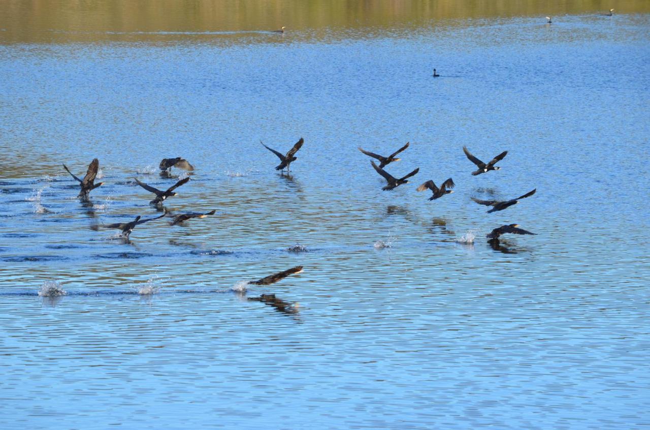 Alojamiento La Canada Monfrague Torrejon el Rubio Bagian luar foto